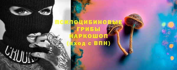 сатива Алексин