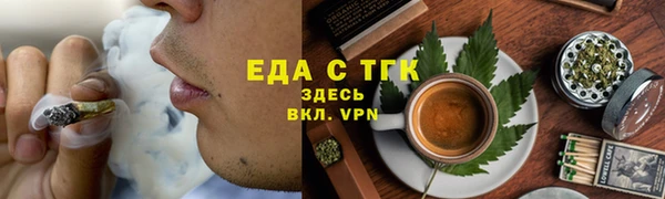 индика Осташков