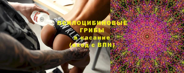 сатива Алексин