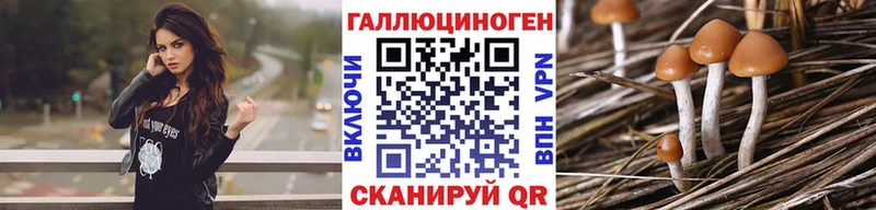 Галлюциногенные грибы мицелий  ссылка на мегу ССЫЛКА  Томмот 